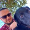 Job Dogwalker