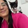 Veterinária À Domicílio Aline Pacheco