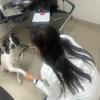 Veterinária À Domicílio Aline Pacheco