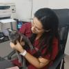 Veterinária À Domicílio Aline Pacheco