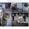 Retratos Pets