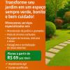 Folha Verde Jardinagem