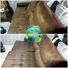Fastclean Higienização