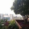 Liveira Paisagismo