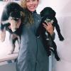 Suellen Ramos Homevet  Atendimento Domiciliar Veterinário
