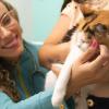 Suellen Ramos Homevet  Atendimento Domiciliar Veterinário