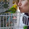Pets Love Sitter