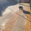 Vectra Empreendimento Ltda