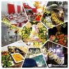 Buffet Neves Festas E Eventos