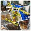 Buffet Neves Festas E Eventos