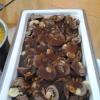 Buffet Neves Festas E Eventos