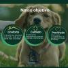 Home Vets  Veterinário Em Casa