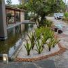 Silva Jardins. Cortes De Grama Podas E Manutenção De Jardins.