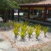 Silva Jardins. Cortes De Grama Podas E Manutenção De Jardins.