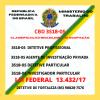 Lei Federal do Detetive Particular