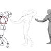 Anatomia  Muscular