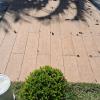 Assentamento piso ao redor piscina