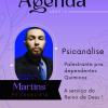 Felipe Rafael Salles Martins