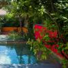 Piscina revestida com Tela Armada