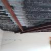 Ademar Rodrigues Braga