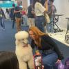 Feira Pet