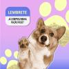 Arte para Petshop