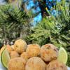 Bolinho de Bacalhau