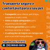 Pet Sitter Dog Walker E Taxi Pet Em Limeira E Piracicaba