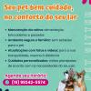 Pet Sitter Dog Walker E Taxi Pet Em Limeira E Piracicaba