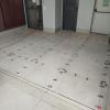 P&p Construções