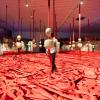 Expografia Elke (2022)_CCVM