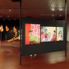 Expografia OCUPA 2024_CCVM