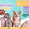 Ivogar Patitas