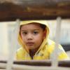 Thales Genuino Ramos