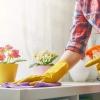Cleaning Services