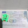 Rubia Cristina Rosa Servicos De Consultoria Imigratoria Ltda