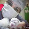 Vet Home Care Df