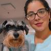 Vet Home Care Df