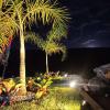 Paisagismo E Jardinagem