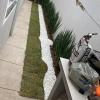 Paisagismo E Jardinagem