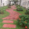 Paisagismo E Jardinagem
