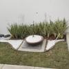 Paisagismo E Jardinagem