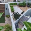 Paisagismo E Jardinagem