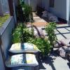 Paisagismo E Jardinagem