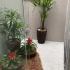 Paisagismo E Jardinagem