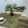Paisagismo E Jardinagem