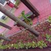 Paisagismo E Jardinagem