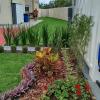 Paisagismo E Jardinagem