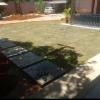 Paisagismo E Jardinagem