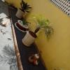 Paisagismo E Jardinagem